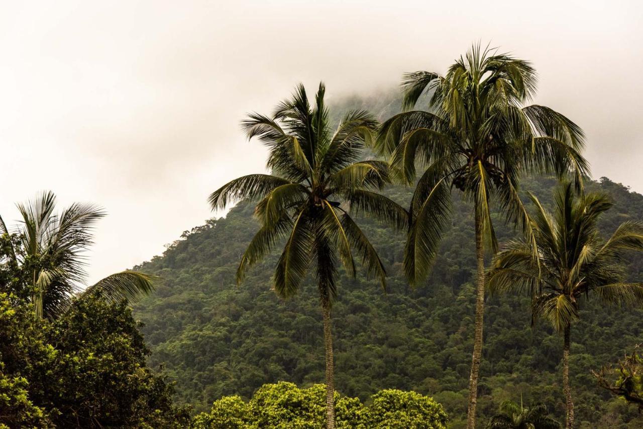 Pousada Flor De Lis Ilha Grande  Екстер'єр фото